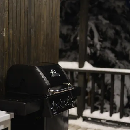 Dom wakacyjny Moho будинки для відпочинку *