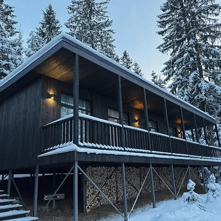 Moho будинки для відпочинку Bukovel