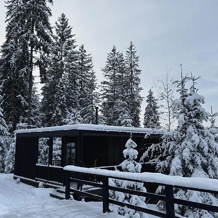 Moho будинки для відпочинку Bukovel