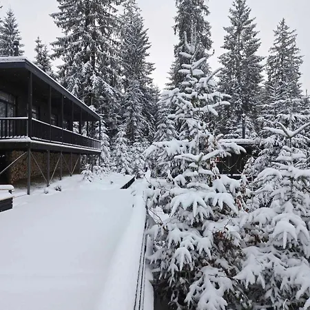 Moho будинки для відпочинку Holiday home Bukovel
