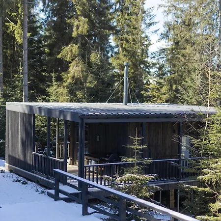 Moho будинки для відпочинку Bukovel