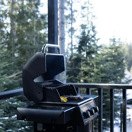 Moho будинки для відпочинку Bukovel