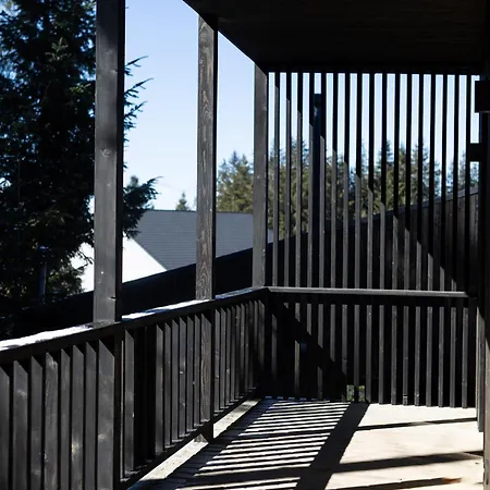 Feriehus Moho будинки для відпочинку Bukovel