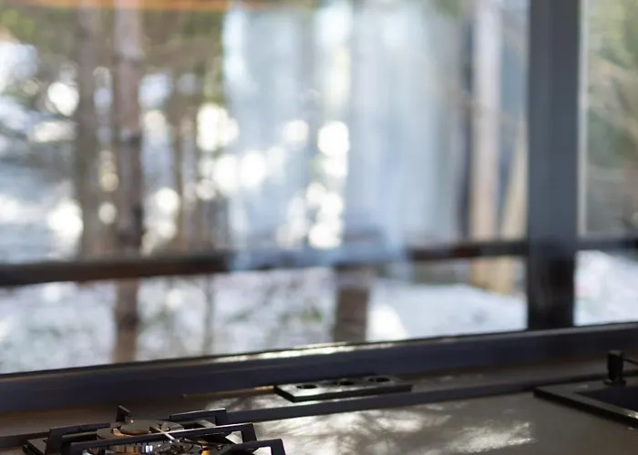 בית נופש Moho будинки для відпочинку